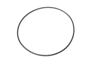 Victor Reinz O-Ring - 11361406868